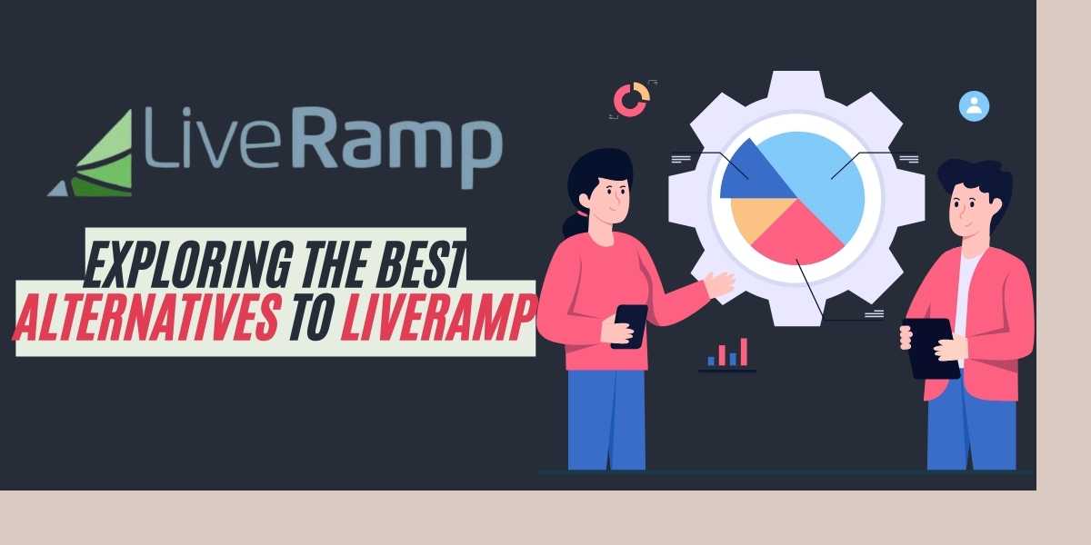 Exploring the Best Alternatives to LiveRamp in 2024