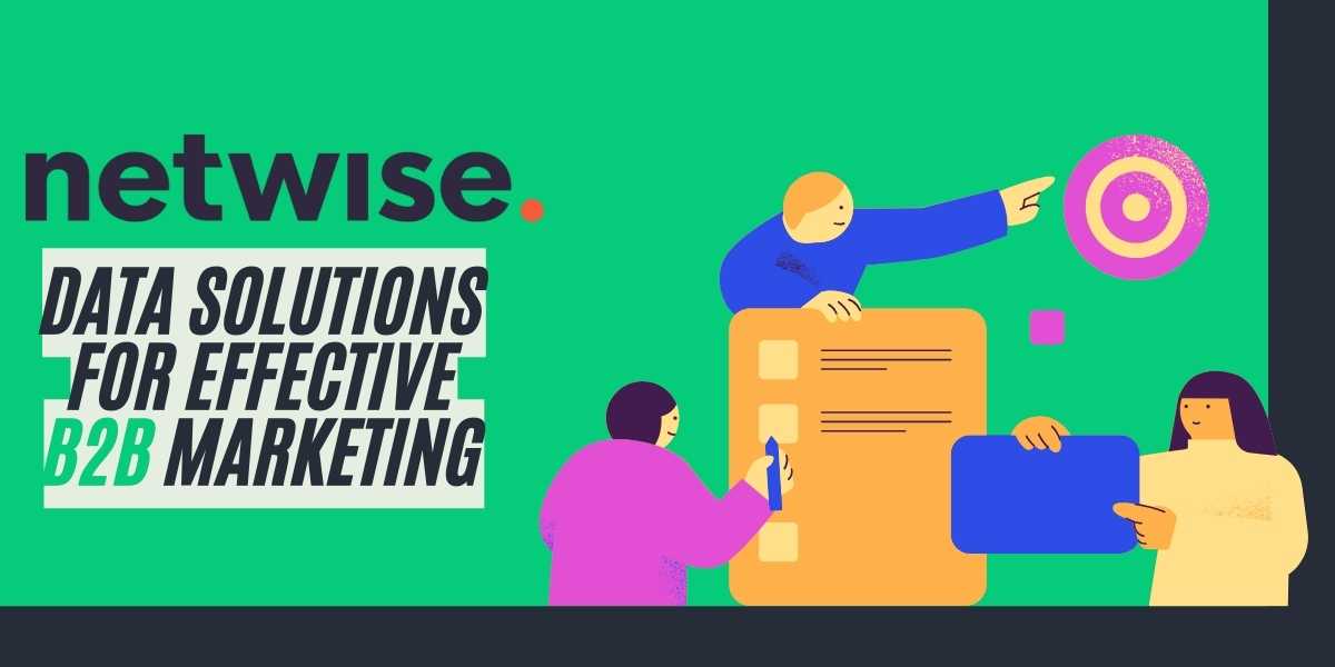 Netwise Data Solutions for Effective B2B Marketing