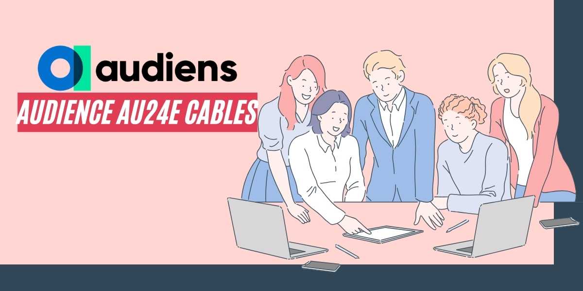 Audiens Review A Candid Look at Audience AU24e Cables